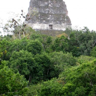Tikal Temple IV - Guatemala
