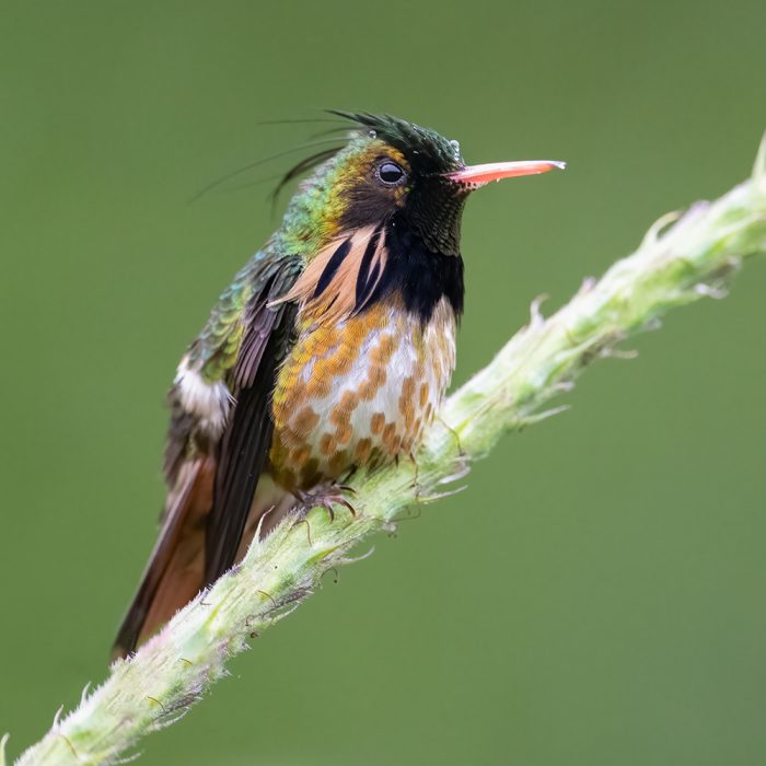 DSC_2204 copy-Edit2 – Tyler Ficker 2